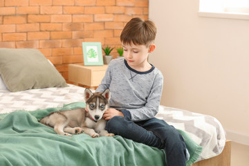 Little boy with cute husky puppy in bedroom