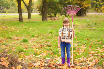 Little girl cleaning up autumn leaves outdoors