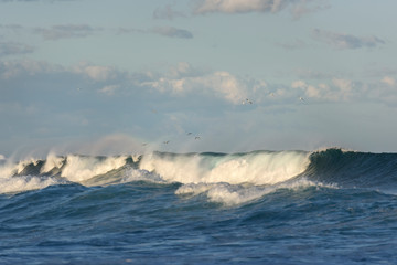 Breaking Waves, Sydney Australia