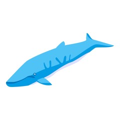 Marine whale icon. Isometric of marine whale vector icon for web design isolated on white background