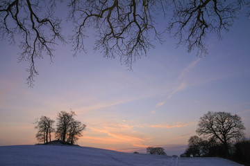 rural winter landscape with bare branches at dawn