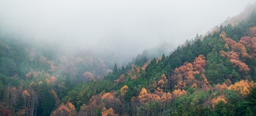 morning in the mountains with the fog Nature panoramic cover banner concept background.