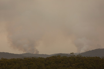 Smoke from a large bushfire in The Blue Mountains in Australia