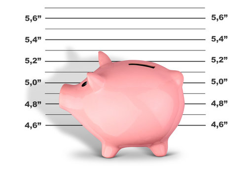 Financial Crime And Criminal Money Concept, Mug Shot Of Piggy Bank