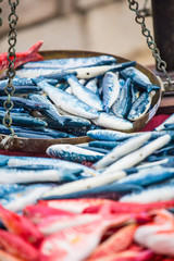 Fresh fish at the fish market close-up.