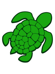 Clipart Design Meeresschildkröte 