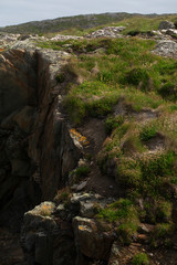 Fields of Connemara, Ireland