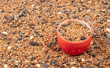 Birdfood - Mixed seeds, grain, nuts and corn