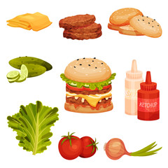 Collection of Ingredients for Burger, Bun with Sesame Seeds, Cucumber, Meat Cutlet, Tomato, Onion, Lettuce, Ketchup and Mustard Bottles Vector Illustration