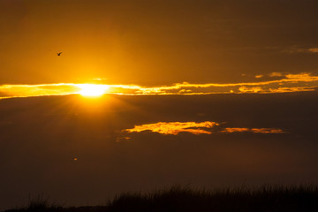 pictures of sunrises and sunsets