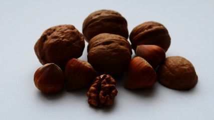 few walnuts and hazelnuts on a white background
