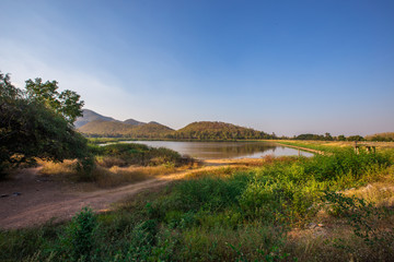 Fototapeta premium Blurred abstract background of a variety of trees growing along the foothills, the roadside traveling, showing the integrity of the ecosystem well.