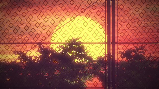 Fence Sunset Background (Loop)	