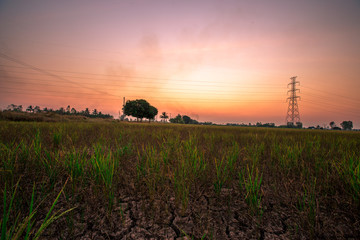 Blurred twilight evening background on rice paddies, with high voltage electricity towers passing...