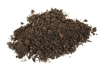 Heap of soil humus isolated on a white background. Ground on a white background.