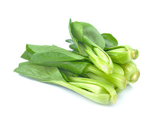 fresh chinese cabbage isolated on white background