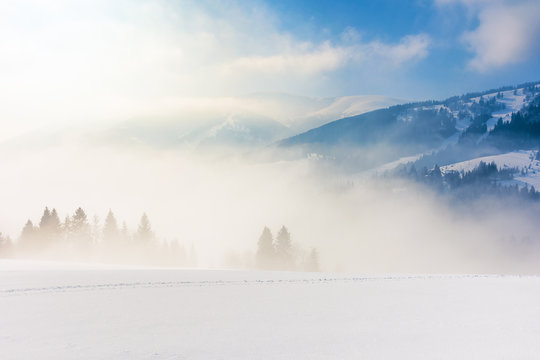 blizzard in mountains. magic scenery with clouds and mist on a sunny winter day. trees in fog on a snow covered meadow. borzhava ridge in the distance. cold weather forecast concept