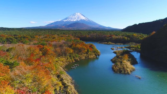 青木が原樹海と富士山空撮