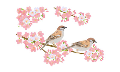 桜とスズメ