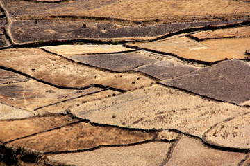 Beautiful Fields on a High Elevated Plain in the Andes Mountain Range near Chivay, Peru