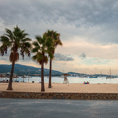 Naklejka premium wide sandy beach on the background of the sea and large palm trees in the Spanish resort of Magaluf