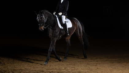 Dressage horse with rider trotting (floating phase) from right to left against a black background photographed with flash in the riding hall.
