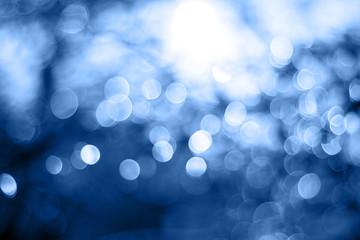 winter snow blurred background in park, branches covered with snow in classic blue trendy color. Color of the year 2020.