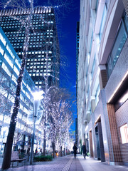 丸の内仲通りのイルミネーション