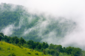 clouds rise above the forested forest