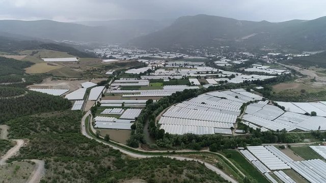 Tomato greenhouses. Aerial image