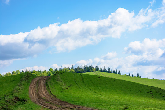 dirt road uphill the green hill. grass covered meadow in dappled light. path leads to coniferous forest in the distance. amazing blue sky with clouds on the horizon. stunning countryside scenery