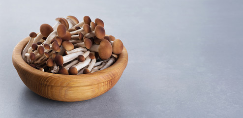Honey mushrooms (fungi) in a wooden bowl on a gray texture background.