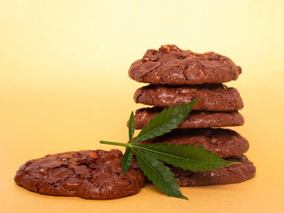 Medicinal Edibles Cookies with Marijuana. cannabis leaf and chocolate chip cookies with nuts. food with recreational drug.