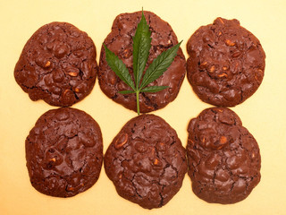 cannabis cookies and green leaf. chocolate peanut cookies with marijuana oil on a yellow background.