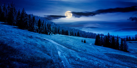 forested carpathian mountains in summer at night. fir trees on the grassy slope. weather with...