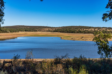 View of the natural park of Cornalvo in Extremadura, Merida. Spain