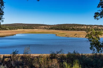 Selbstklebende Fototapeten View of the natural park of Cornalvo in Extremadura, Merida. Spain © rudiernst