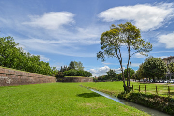 Obraz premium The view from the Lucca city wall