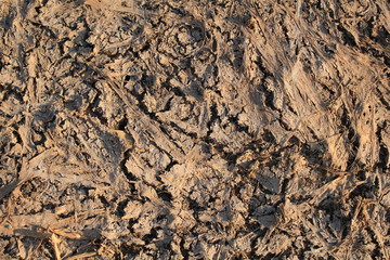 When the water is dry, we will see the ground is dry.
Stains, dirt and weeds