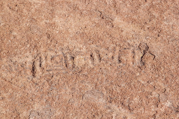 Petroglyph at the Campo Las Tobas a site with rock art in which the engravings were made on the ground, Argentina