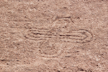Campo Las Tobas a site with rock art in which the engravings were made on the ground, Argentina