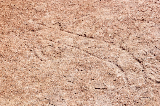 Petroglyph at the Campo Las Tobas a site with rock art in which the engravings were made on the ground, Argentina