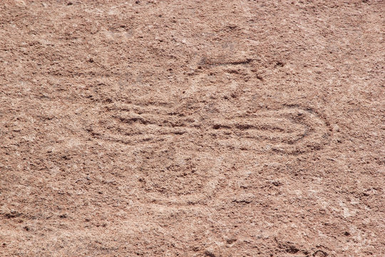 Campo Las Tobas a site with rock art in which the engravings were made on the ground, Argentina