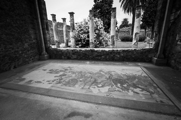 Mosaic of a battle and combat scene and a beautiful courtyard with columns and flowering bushes at the ancient city of Pompeii, near Naples, Italy
