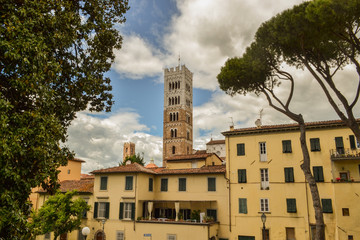 Fototapeta premium Lucca view