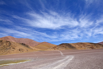 Naklejka premium Trail at the Puna de Atacama, Argentina