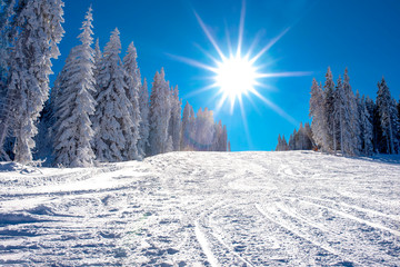 Winter landscape with downhill ski slope at sunny winter day