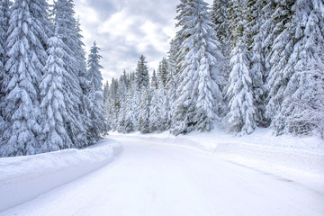 Winter landscape with with road and fir trees covered with snow