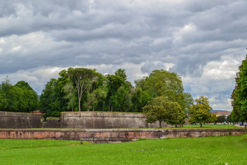 The view from the Lucca city wall