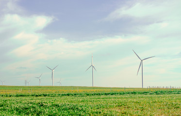 Suburban landscape. Windmills on farm among fields. Sunny summer day. Blue sky with white clouds. Green forest along road. Alternative energy unity with nature concept. Copy space. Selective focus.